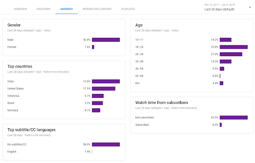 YouTube Audience Report