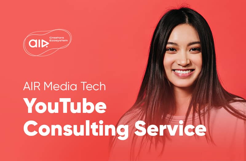 YT Consulting Service