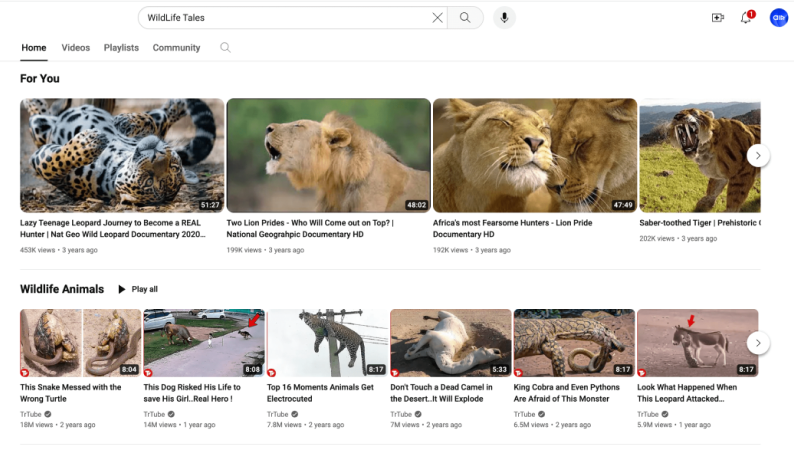 YouTube video Ideas about nature and wildlife