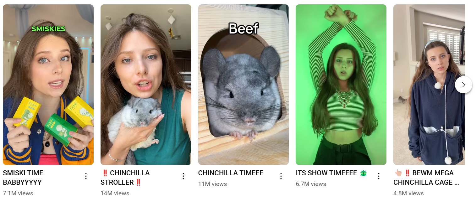Annag and her chinchillas.