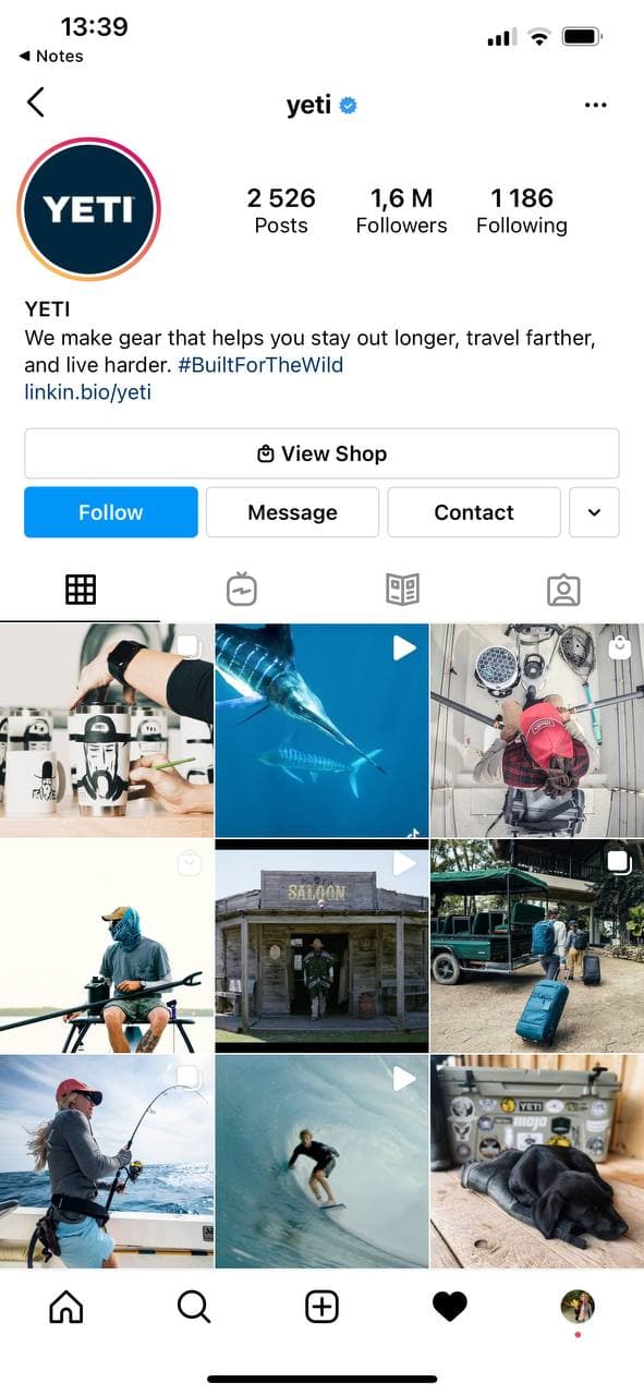 Create a Stunning and Irresistible Instagram Account