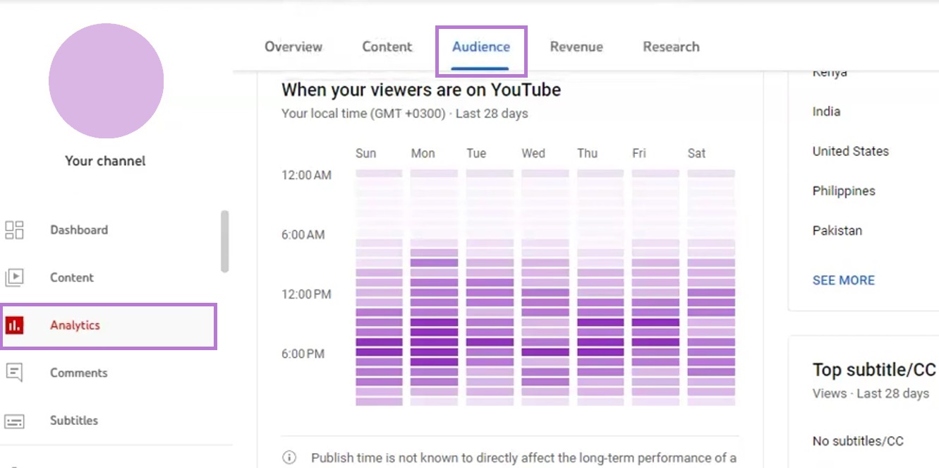 YouTube Analytics shows your viewers' activity.